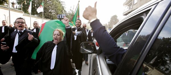 احتجاجات الجزائر - سبوتنيك عربي