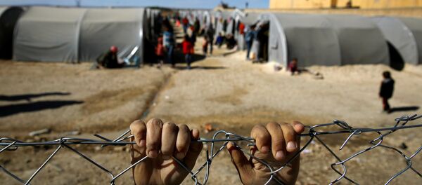 صبي لاجئ كردي من بلدة كوباني السورية - سبوتنيك عربي