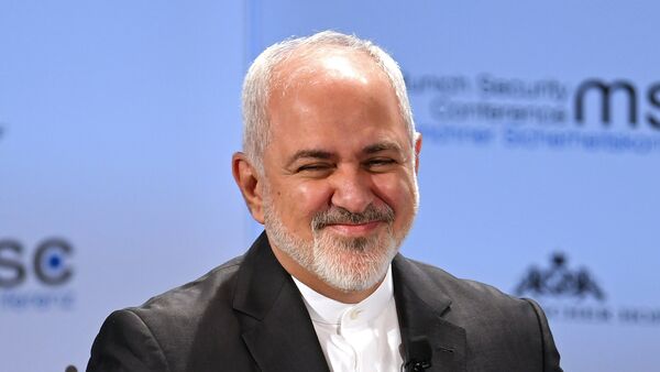 وزير الخارجية الإيرانية محمد جواد ظريف - سبوتنيك عربي