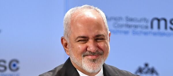 وزير الخارجية الإيرانية محمد جواد ظريف - سبوتنيك عربي