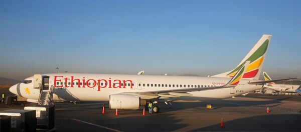 طائرة إثيوبية - سبوتنيك عربي