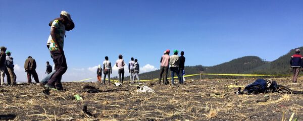 موقع سقوط الطائرة الإثيوبية - سبوتنيك عربي