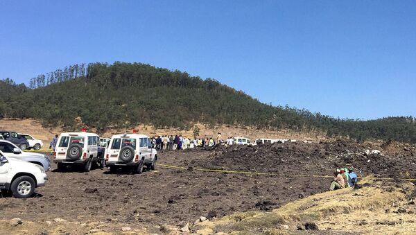 موقع تحطم الطائرة الإثيوبية - سبوتنيك عربي