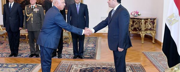 كامل الوزير - سبوتنيك عربي