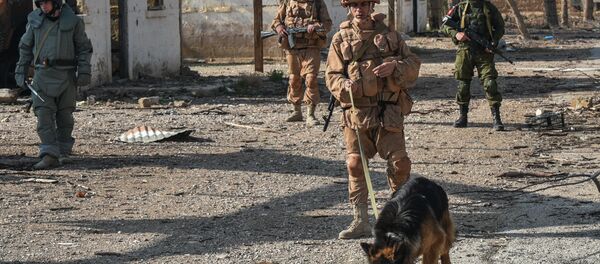 فرق إزالة الألغام في سوريا - سبوتنيك عربي