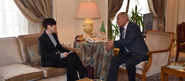 الأمين العام لجامعة الدول العربية أحمد أبو الغيط ووزيرة خارجية النرويج إينه سواريدي - سبوتنيك عربي