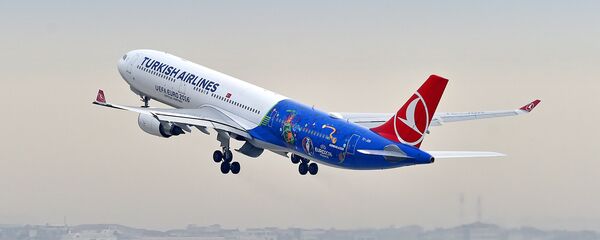 طائرة تابعة للخطوط الجوية التركية - سبوتنيك عربي