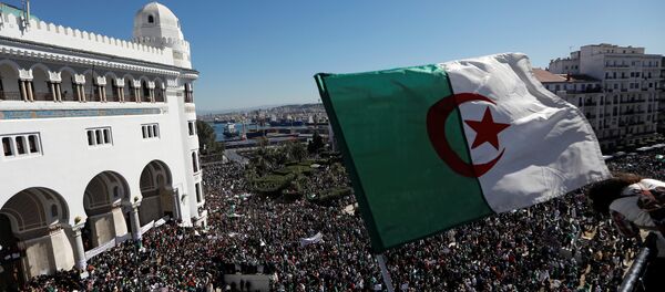 مظاهرات حاشدة في الجزائر احتجاجا على عبد العزيز بوتفليقة - سبوتنيك عربي