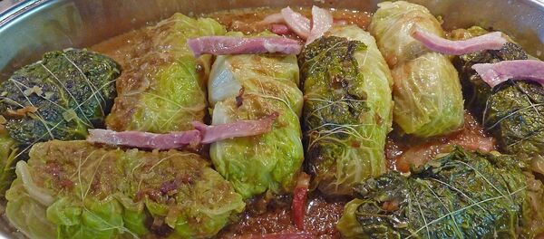 محشي - سبوتنيك عربي