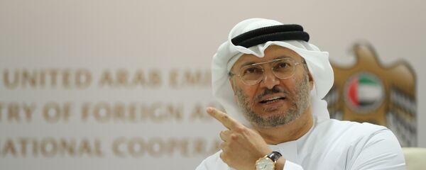 وزير الدولة الإماراتي للشؤون الخارجية أنور قرقاش  - سبوتنيك عربي