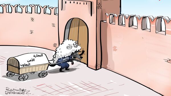 فولكير يتحدث عن فوائد روسيا من توسع حلف الناتو - سبوتنيك عربي