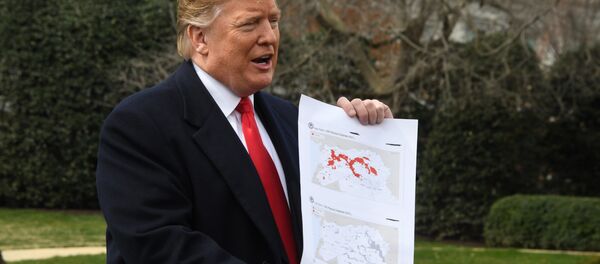 الرئيس الأمريكي دونالد ترامب - سبوتنيك عربي