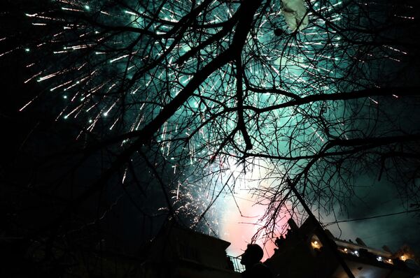 احتفالات الأكراد بعيد النوروز في العراق، 20 مارس/ آذار 2019 - سبوتنيك عربي