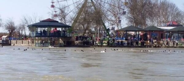 غرق عبارة في العراق - سبوتنيك عربي
