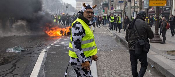 أحد المحتجين والمشاركين في تظاهرة السترات الصفراء في باريس، المستمرة منذ نوفمبر/ تشرين الثاني 2018 - سبوتنيك عربي