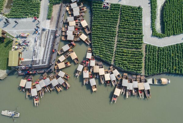 منظر جوي للقوارب على طول حقول كيانداو في الصين، 17 مارس/ آذار 2019 - سبوتنيك عربي