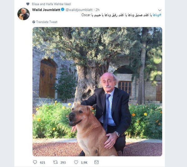 صورة لوليد جنبلاط مع كلبه تحوز على إعجاب هيفاء وهبي ونانسي عجرم - سبوتنيك عربي