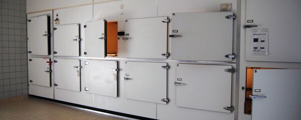 ثلاجة الموتى - سبوتنيك عربي