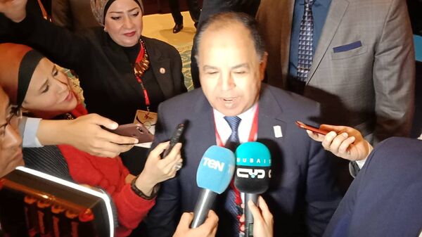 وزير المالية المصري - سبوتنيك عربي
