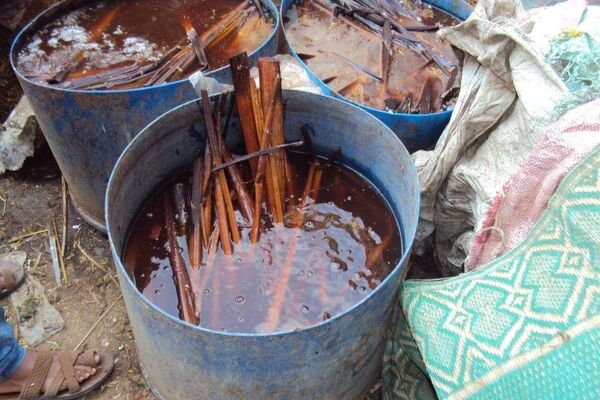  صناعة أوراق البردي في مصر - سبوتنيك عربي