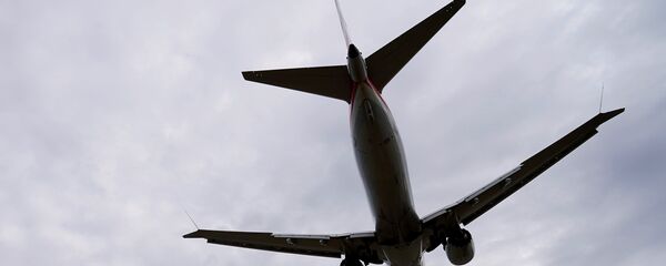 طائرة طراز بوينغ 737 ماكس 8 - سبوتنيك عربي