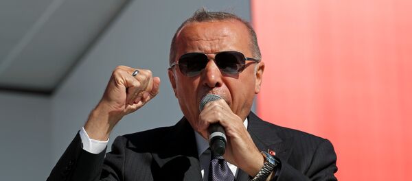 الرئيس التركي رجب طيب أردوغان - سبوتنيك عربي