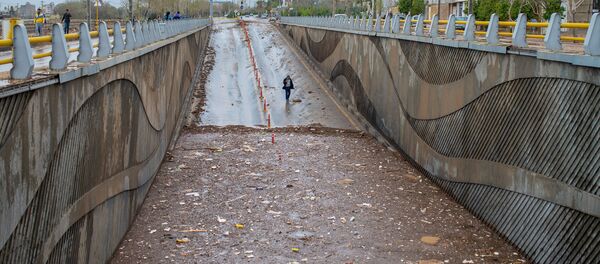 إيران - المناطق المنكوبة إثر السيول الهائلة التي غمرت البلدات الإيرانية، 26 مارس/ آذار 2019 - سبوتنيك عربي