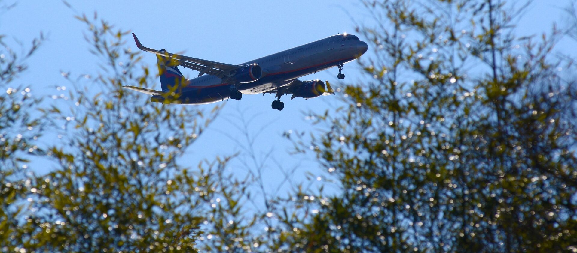 سوتشي، روسيا - فصل الربيع في سوتشي مارس/ آذار 2019 - سبوتنيك عربي, 1920, 31.08.2021