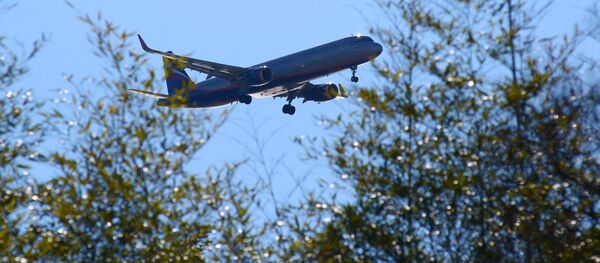 سوتشي، روسيا - فصل الربيع في سوتشي مارس/ آذار 2019 سوتشي، روسيا - فصل الربيع في سوتشي مارس/ آذار 2019 - سبوتنيك عربي