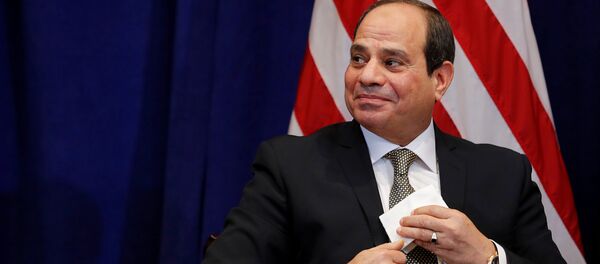 الرئيس المصري عبد الفتاح السيسي - سبوتنيك عربي