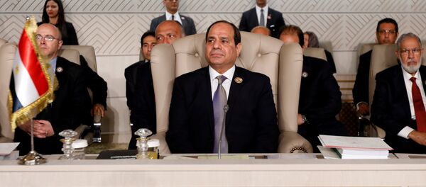الرئيس المصري عبد الفتاح السيسي يحضر القمة العربية الثلاثين في تونس - سبوتنيك عربي