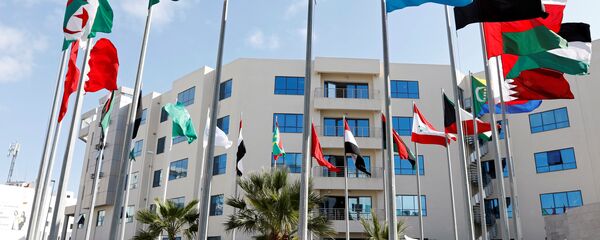  أعلام الدول العربية قبل اجتماع تحضيري بين وزراء الخارجية العرب قبل القمة العربية في تونس، تونس 29 مارس/ آذار 2019 - سبوتنيك عربي