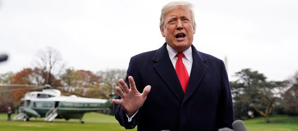 الرئيس الأمريكي دونالد ترامب يتحدث للصحفيين - سبوتنيك عربي