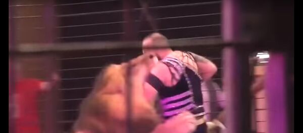 أسد ينقض على مدربه في سيرك أسد ينقض على مدربه في سيرك - سبوتنيك عربي