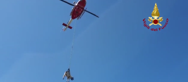 هليكوبتر تنقذ بقرة سقطت في وادي في إيطاليا - سبوتنيك عربي