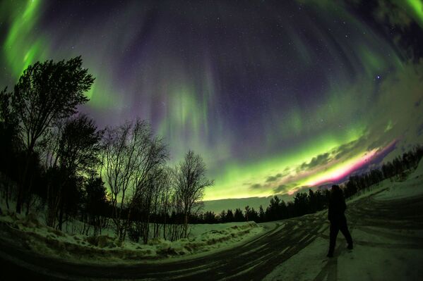 اضاءة الشفق القطبي في محيط نهر سورا مورمانسك السورية - سبوتنيك عربي