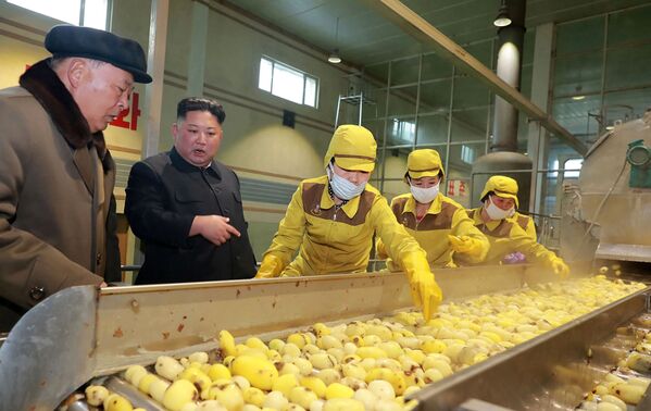 زعيم كوريا الشمالية كين جونغ أون في مصنع البطاطا في سامجيون، كوريا الشمالية 4 أبريل/ نيسان 2019 - سبوتنيك عربي