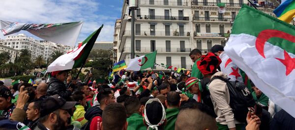 مظاهرات الجزائر مظاهرات الجزائر - سبوتنيك عربي