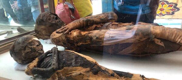 الكشف عن مقبرة أثرية في مصر يعود تاريخها إلى العصر البطلمي - سبوتنيك عربي