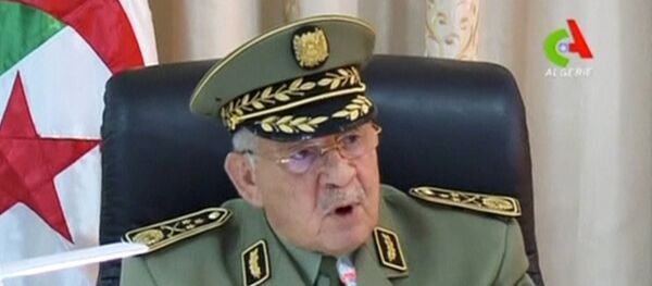 رئيس أركان الجيش الجزائري الفريق أول أحمد قايد صالح - سبوتنيك عربي