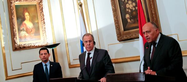 وزير الخارجية الروسي سيرغي لافروف ونظيره المصري سامح شكري - سبوتنيك عربي