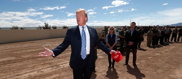 الرئيس الأمريكي دونالد ترامب - سبوتنيك عربي