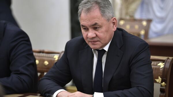 وزير الدفاع الروسي سيرغي شويغو - سبوتنيك عربي