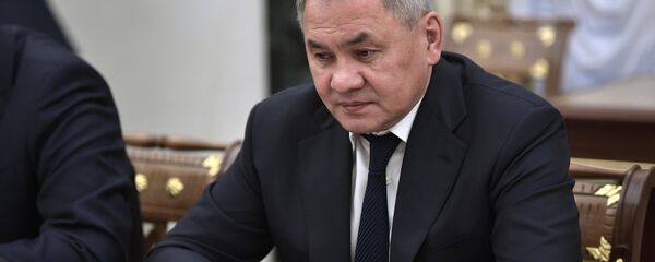 وزير الدفاع الروسي سيرغي شويغو - سبوتنيك عربي