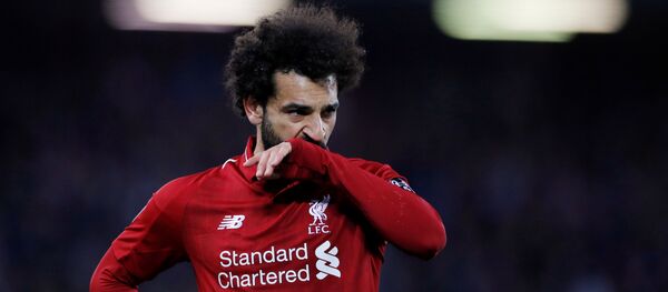 محمد صلاح محمد صلاح - سبوتنيك عربي