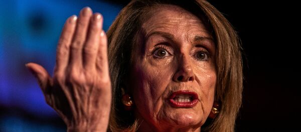 رئيسة مجلس النواب الأمريكي نانسي بيلوسي - سبوتنيك عربي