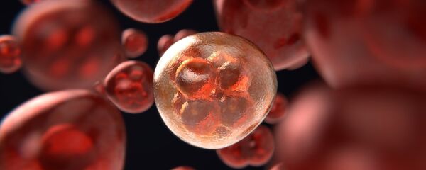 السرطان السرطان - سبوتنيك عربي