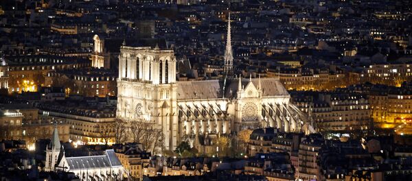 كاتدرائية نوتردام ليلا في باريس - سبوتنيك عربي