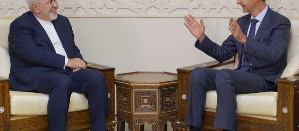 ظريف والأسد ظريف والأسد - سبوتنيك عربي