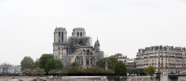 كاتدرائية نوتردام - سبوتنيك عربي